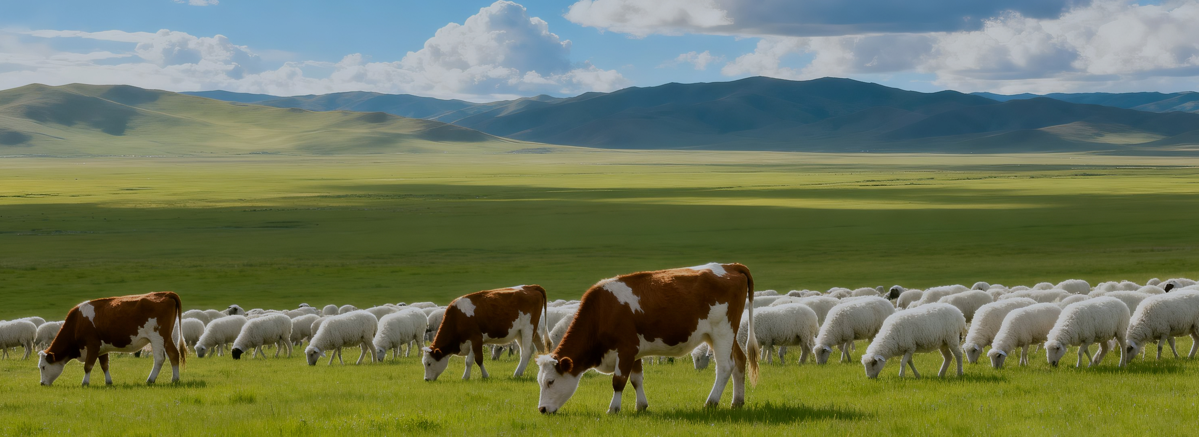 Livestock Farming