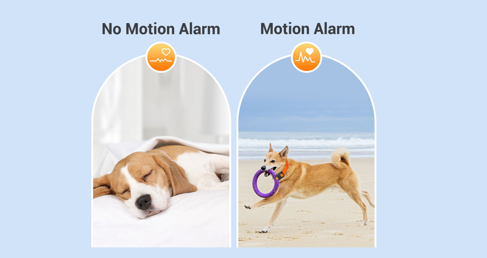 Motion & No Motion Alarm