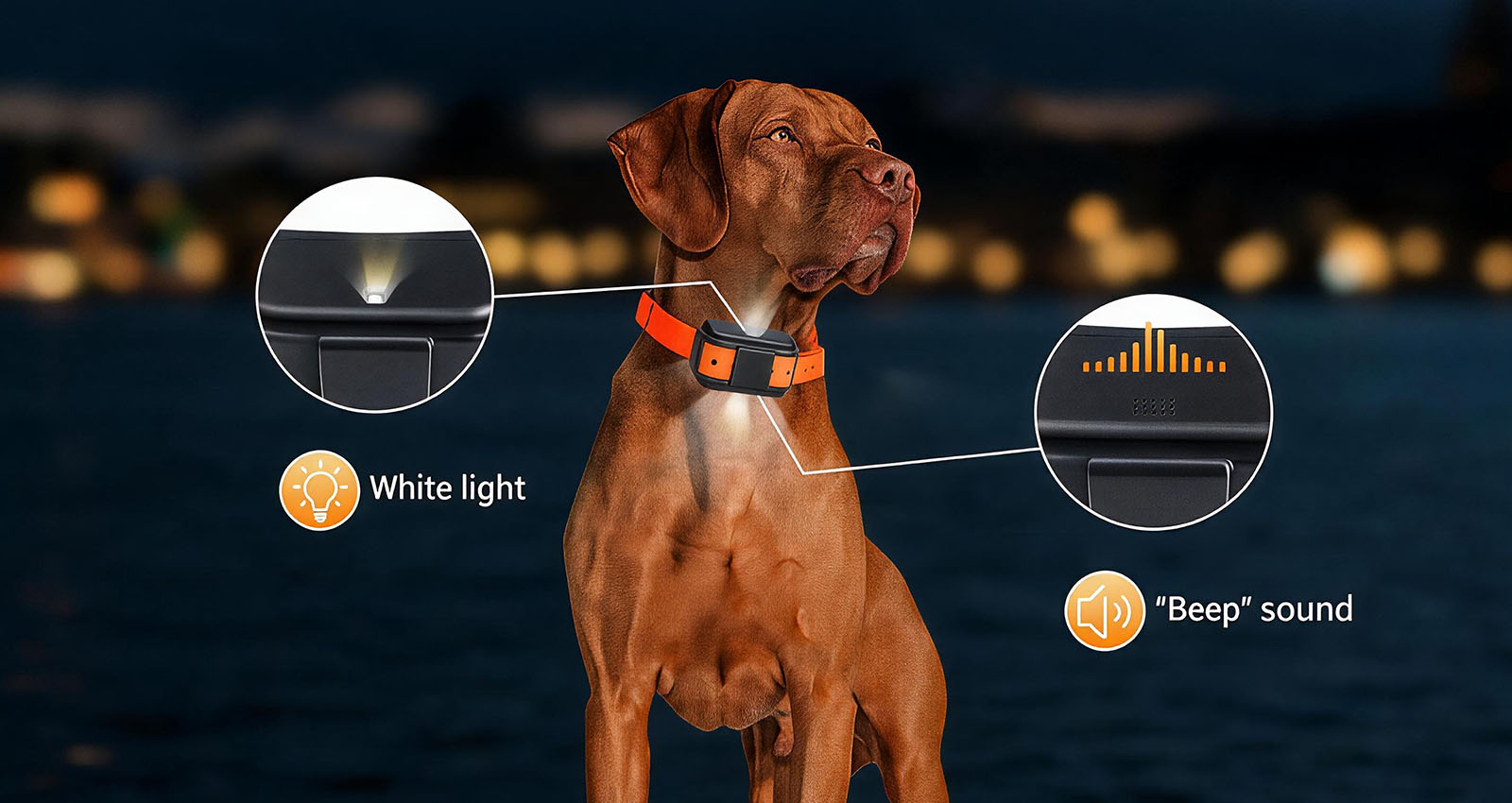 Light & Voice Tracking