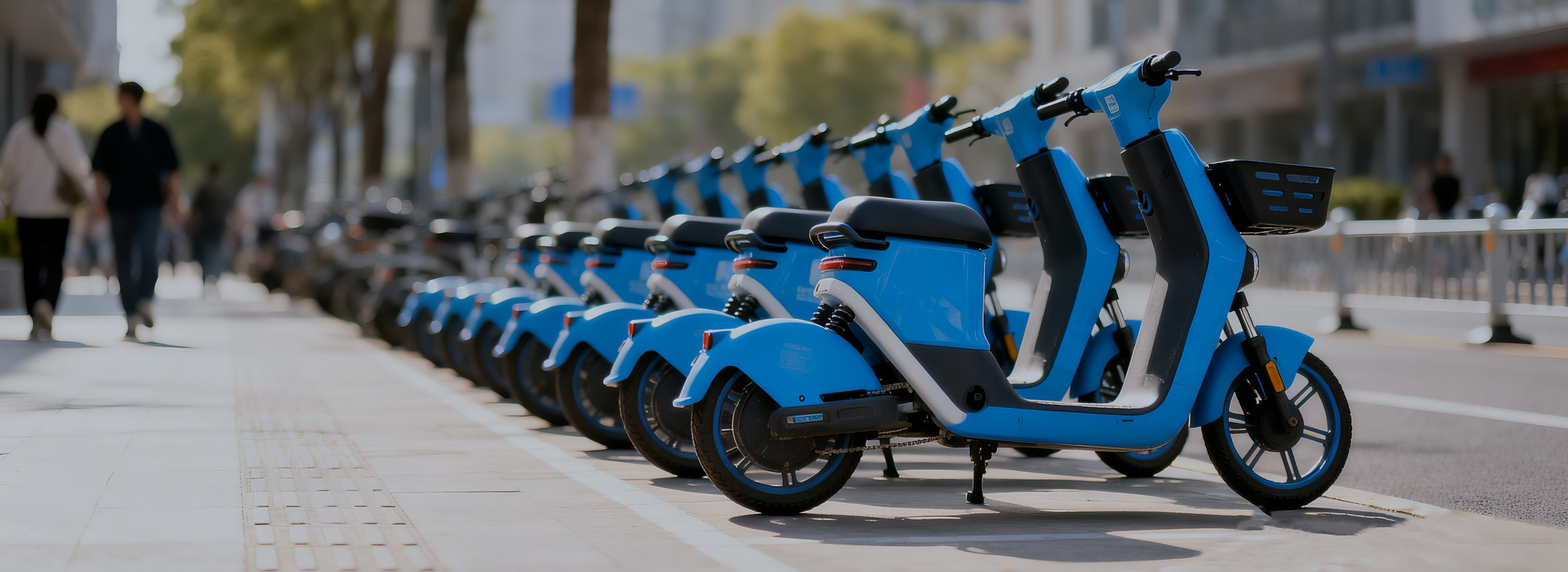 Shared E-Bike