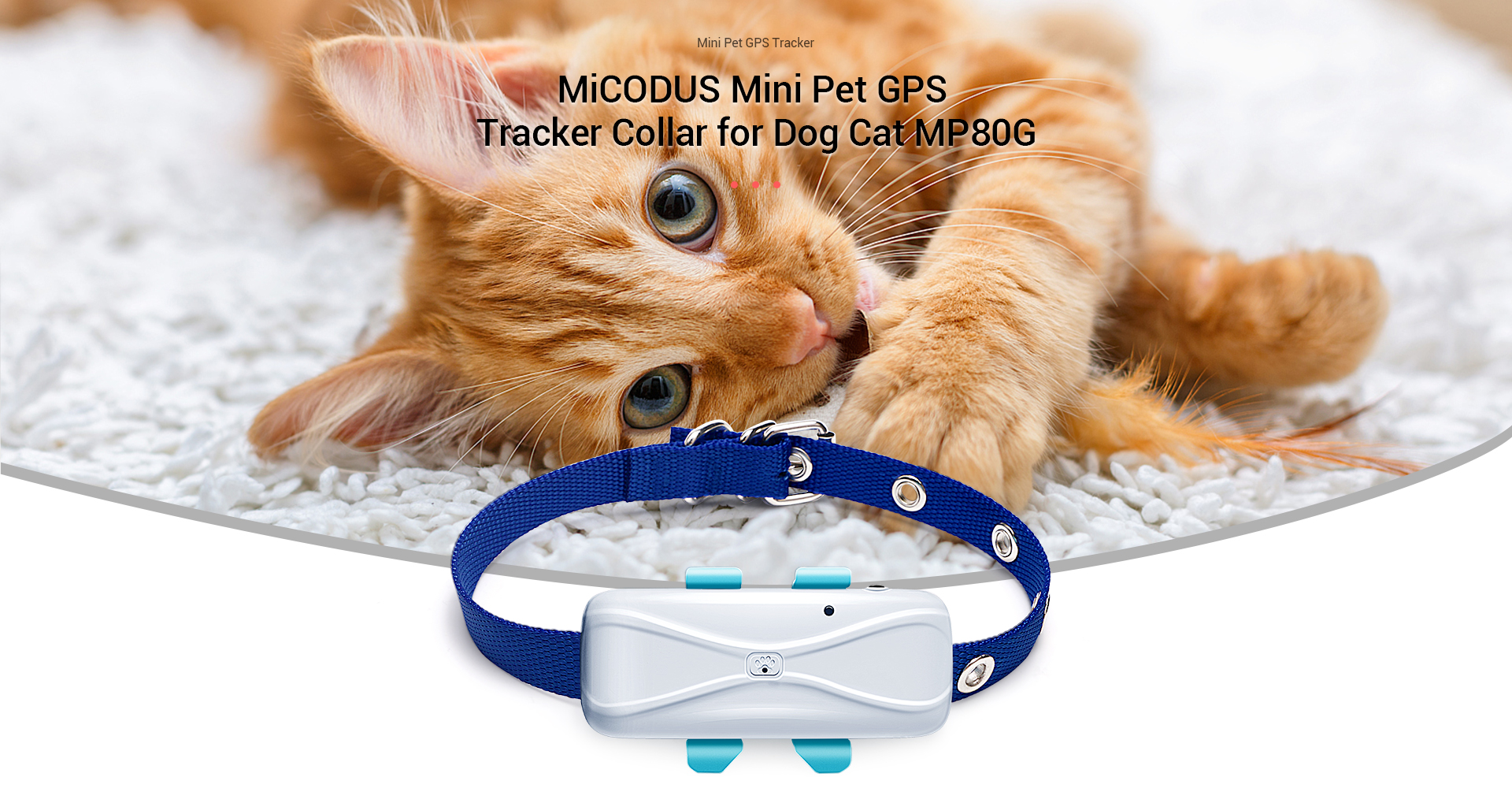 MiCODUS丨Professional Global Positioning Solutions Provider