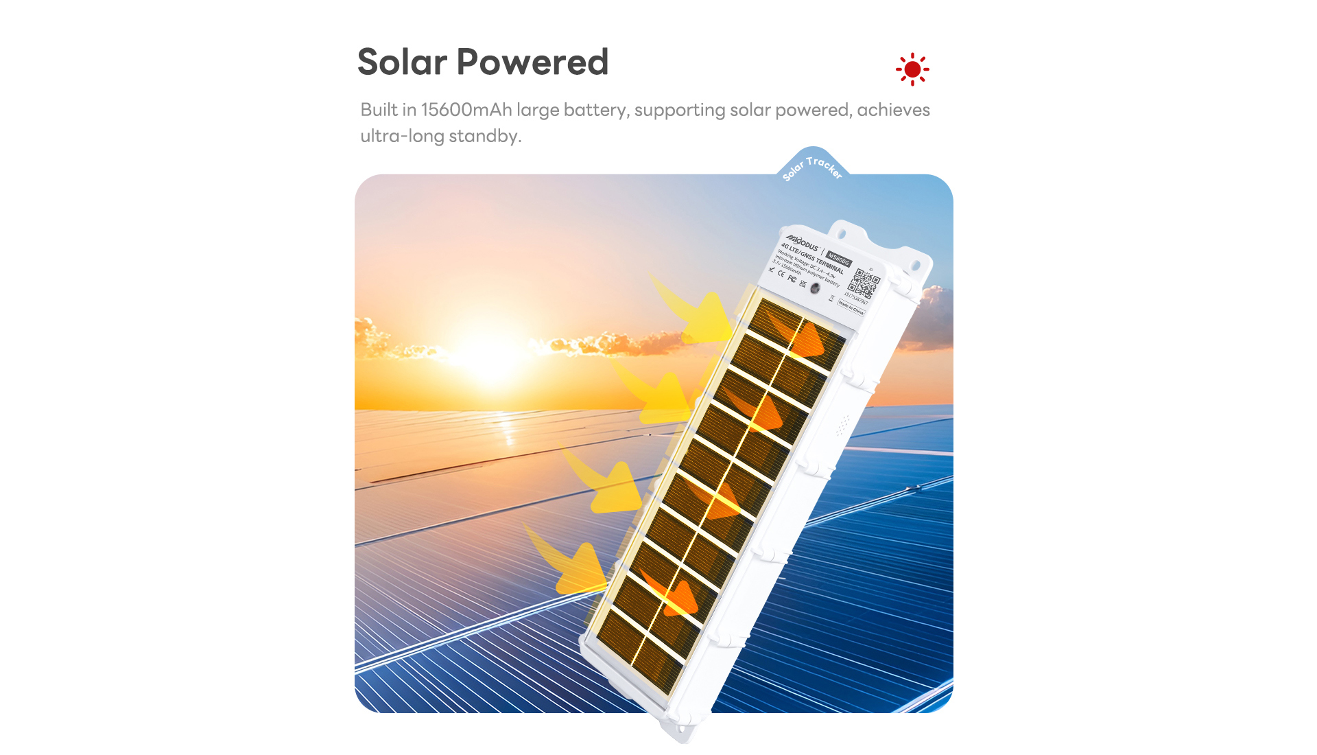 1762852130344296.jpg MS800G全屏详情5.jpg